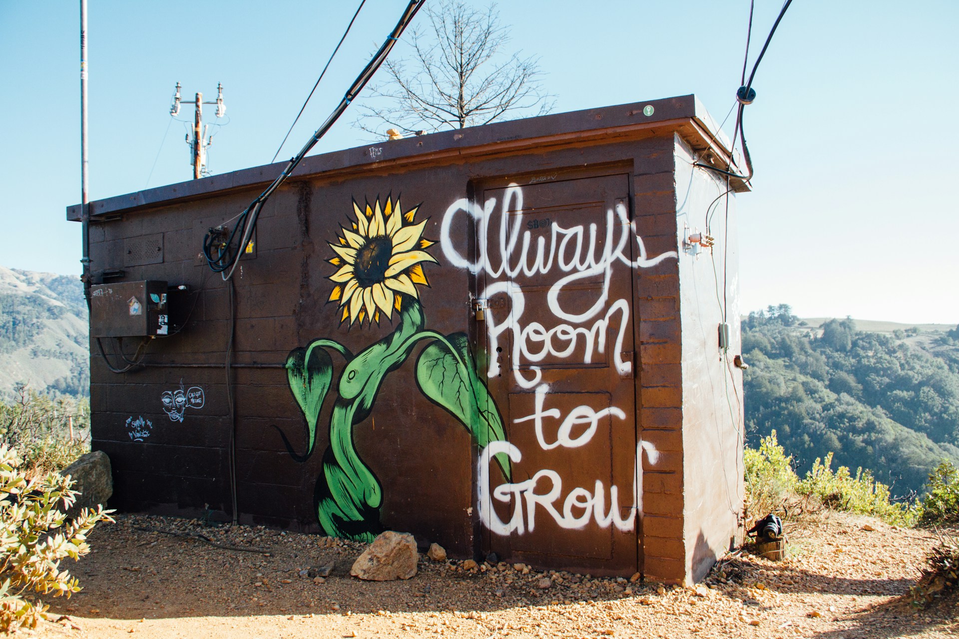 'Always room to grow' with a sunflower painted a small shack on a mountain road
